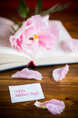 peony pink beautiful flower, book with a greeting card