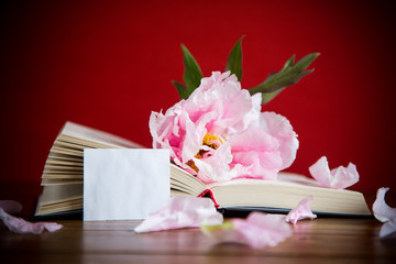 peony pink beautiful flower, book with a greeting card