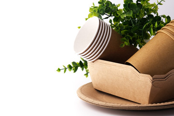 The concept of, ecology, eco, eco friendly. Natural eco-friendly disposable utensils. Copy space.