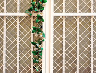 White painted iron window with wire mesh lattice and grate with a green creeper with plastic flowers. Facade of a house in a popular neighborhood of Seville, Spain