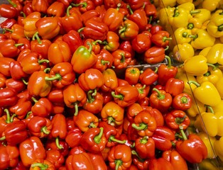 Close up macro view of red yellow orange paprika. Healthy food concept. Beautiful  colorful nature background.