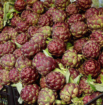 big artichokes for sale at market