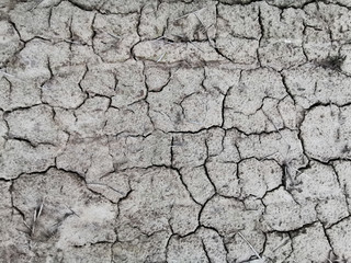 Drought cracked earth land on top view. Cracked earth on the field.