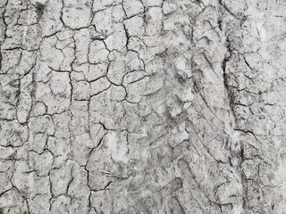 Drought cracked earth land on top view. Cracked earth on the field.