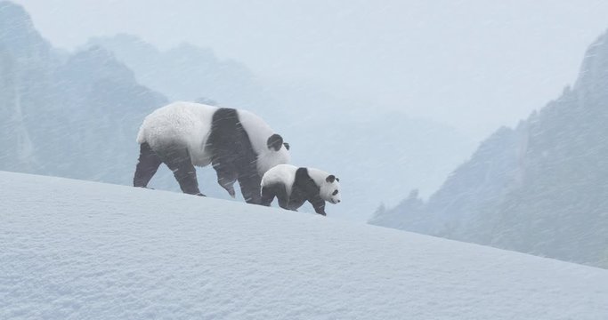 Animated panda bear and her baby walking down a snowy slope in a Chinese mountain landscape.