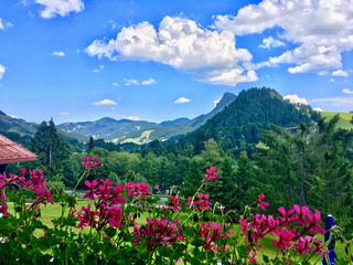 Fototapeta premium Voralpenlandschaft