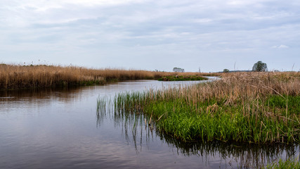 Dolina Narwi. Podlaskie kapliczki i krzyże przydrożne. Narwiański Park Narodowy. Podlasie. Polska