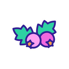 organic hawthorn berries icon vector. organic hawthorn berries sign. color symbol illustration