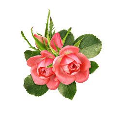 Fototapeta premium Coral rose flowers and buds with green leaves in a floral arrangement