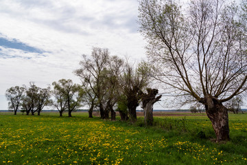 Dolina Narwi. Podlaskie kapliczki i krzyże przydrożne. Narwiański Park Narodowy. Podlasie. Polska