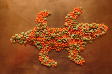 The shape of a crocodile of orange and green lentils on a copper surface.