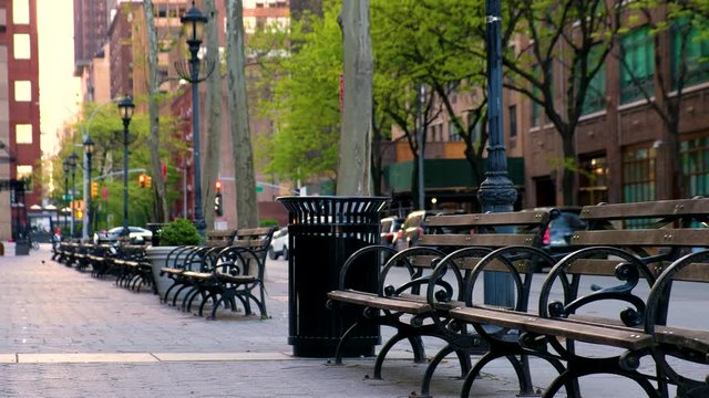 Park benches along a city street park.
