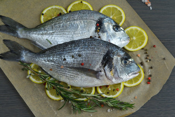 Raw fish dorada.Raw fish fillet on lemon slices on dark background ready for cooking, food background. top view. Healthy food concept. Mediterranean seafood. gilt-head sea bream