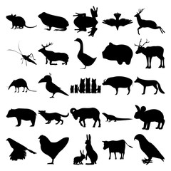 Set of 25 animals. Rat, Frog, Pigeon, Deer, Grasshopper, Elk, Goose, Reindeer, Shrew, Bird, Cat Family, Boar, Fox, Panda, Dog, Ram, Komodo Dragon, Rabbit, Goshawk, Chicken, Hare Family, Cow, Parrot.