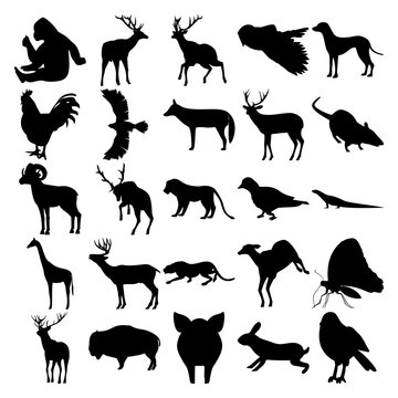 Set of 25 animals. Gorilla, Owl, Dog, Rooster, Goshawk, Jackal, Rat, Sheep, Lion, Pigeon, Lizard, Giraffe, Cheetah, Butterfly, Deer, Bison, Pig, Rabbit, Sparrow.