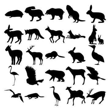 Set of 25 animals. Hamster, Fox, Hare, Little Goat, Beaver, Rabbit, Pelican, Flamingo, Owl, Bear, Elk, Goshawk, Crow, Platypus, Stork, Deer.