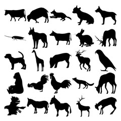 Set of 25 animals. Sheep, Cockroach, Cow, Rabbit, Dog, Giraffe, Pig, Parrot, Gorilla, Rooster, Fox, Goshawk, Zebra, Donkey, Elk, Deer.
