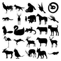 Set of 25 animals. Cock, Gorilla, Bird, Snake, Pacific Fisher, Bear Family, Horse, Crow, Squirrel, Goose, Iguana, Cow, Flamingo, Sheep, Elk, Parrot, Deer, Dog, Rat.