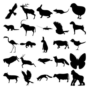 Set of 25 animals. Rabbit, Rat, Chick, Otter, Antelope, Grasshopper, Owl, Dog, Flamingo, Beaver, Hare, Bull, Bird, Sheep, Deer, Seal, Butterfly, Chihuahua, Goshawk, Fox, Cow, Gorilla.
