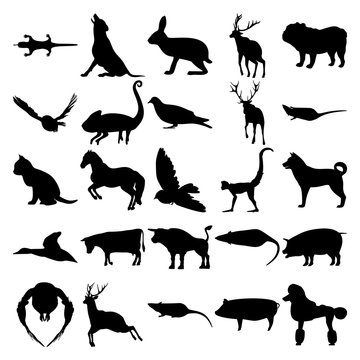 Set of 25 animals. Salamander, Wolf, Hare, Chameleon, Dove, Cat, Horse, Bird, Monkey, Dog, Duck, Cow, Bull, Owl, Deer, Rat, Pig, Poodle.
