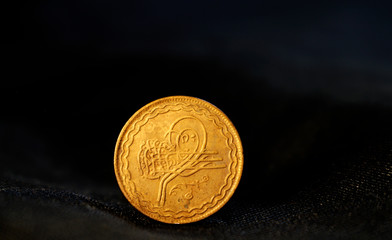 1835 copper coin of India 