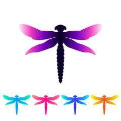 Colorful dragonfly in trendy style on white backdrop. Beauty concept. Design element. Vector abstract dragonfly on white backdrop. Isolated vector illustration. Insect illustration in abstract style.