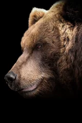 Poster Im Rahmen head of a bear © Marek