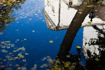 Puddle reflection of tree and building in spring