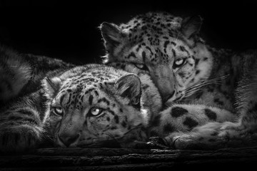 Rest © Marek