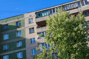 цветущий сирень,flowering greens,