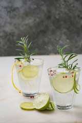 Refreshing Gin and Tonic cocktail