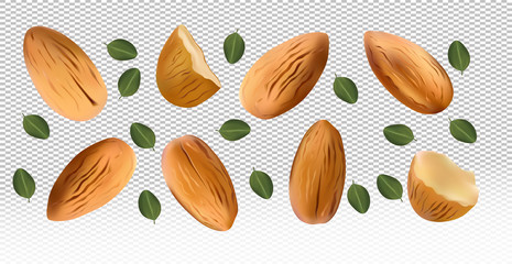 Almonds nuts with green leaf on transparent background. Almond flying from different angles. 3D realistic nuts rich in vitamins. Natural product. Vector illustration.