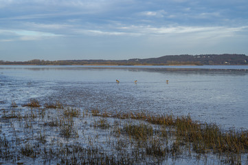 Elbstrand
