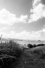 Atlantic Ocean Coast Landscape © TS_media