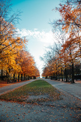 Parc de Bruxelles - Belgium