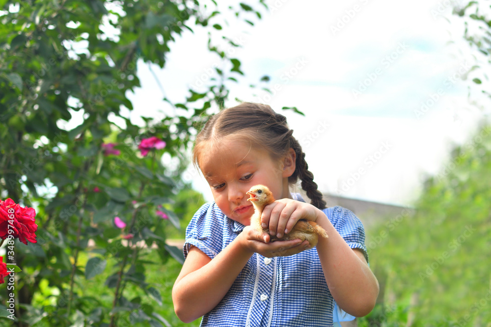 Wall mural happy little smiling girl holding her hen outside the countryside house in a sunny summer day. conce