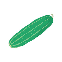 Realistic Cucumber isolated on white background in EPS10