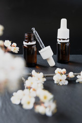 Natural cosmetic product in a glass bottle and flowering apricot branch on a dark stone.