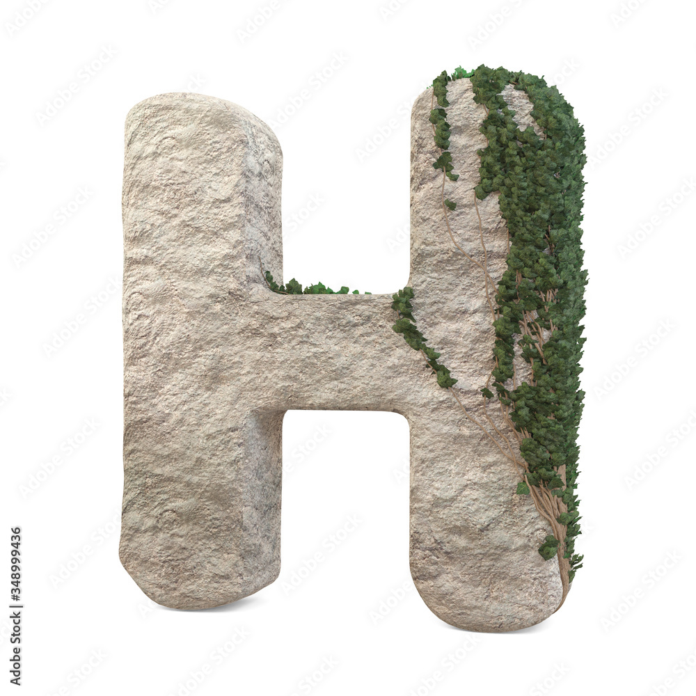 Wall mural realistic stone letters with ivy, isolated on a white background. 3d image