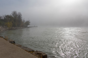 En la niebla