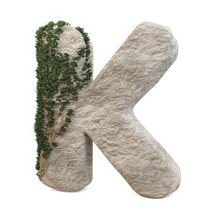 Realistic stone letters with ivy, isolated on a white background. 3d image