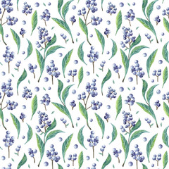 Seamless pattern with watercolor privet. Branches and berries. Perfect for greetings, invitations, manufacture wrapping paper, textile, wedding and web design. Raster illustration.
