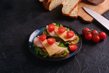 Sandwiches with turkey ham meat, green salad, cheese and fresh cherry tomatoes slices on blue plate...