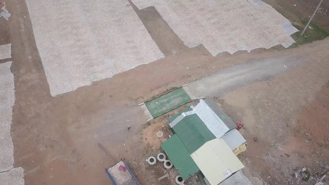 fly over a small farm and cassava is sun dried on plastic mats at the field 