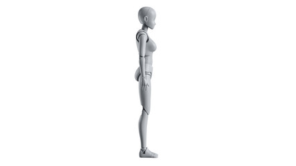 Mannequin female model woman isolated, side view. 3D rendering