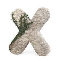 Realistic stone letters with ivy, isolated on a white background. 3d image