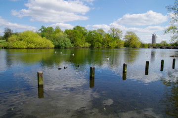 St. James’s Park. London