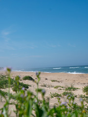 beach and sea sunny summer day
