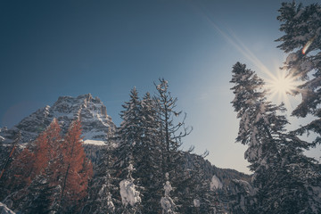 Northern side of Monte Pelmo after an abundant snowfall vintage effetc. Concept: winter landscapes of the Dolomites, Christmas atmosphere, Unesco world heritage