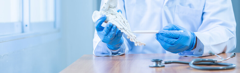 close-up hand wear medical gloves doctor in medical gloves holds artificial boneof the foot in...